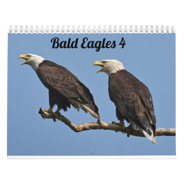 Bald Eagles $ Calendar (Cover)