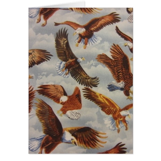 Bald Eagles in Flight (Front)