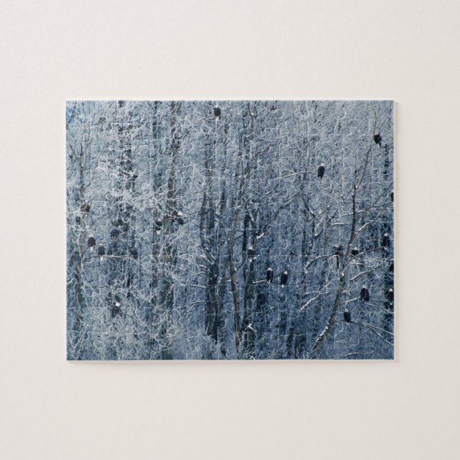 Bald Eagles Jigsaw Puzzle (Horizontal)
