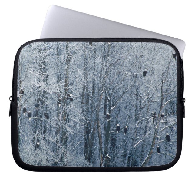 Bald Eagles Laptop Sleeve (Front)