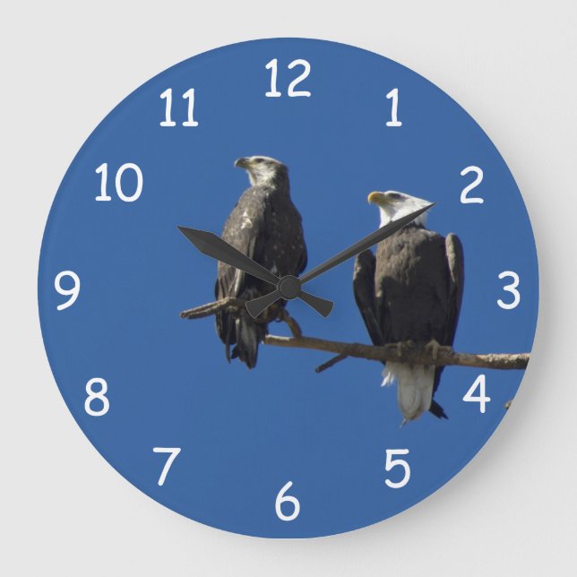 Bald Eagles Large Clock (Front)