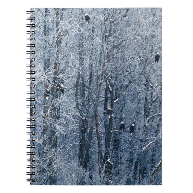 Bald Eagles Notebook (Front)
