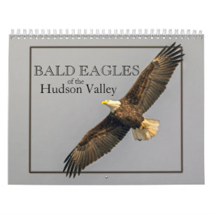 Bald Eagles of the Hudson Valley Calendar