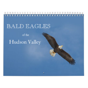Bald Eagles of the Hudson Valley Calendar