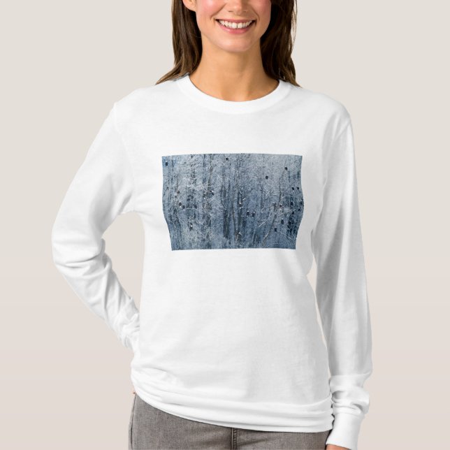 Bald Eagles T-Shirt (Front)