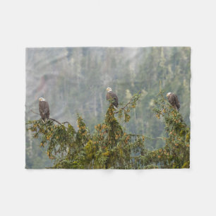 Bald Eagles Tongass National Forest Alaska Fleece Blanket