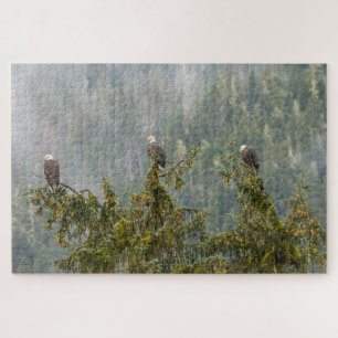 Bald Eagles Tongass National Forest Alaska Jigsaw Puzzle