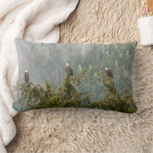 Bald Eagles   Tongass National Forest Alaska Lumbar Cushion