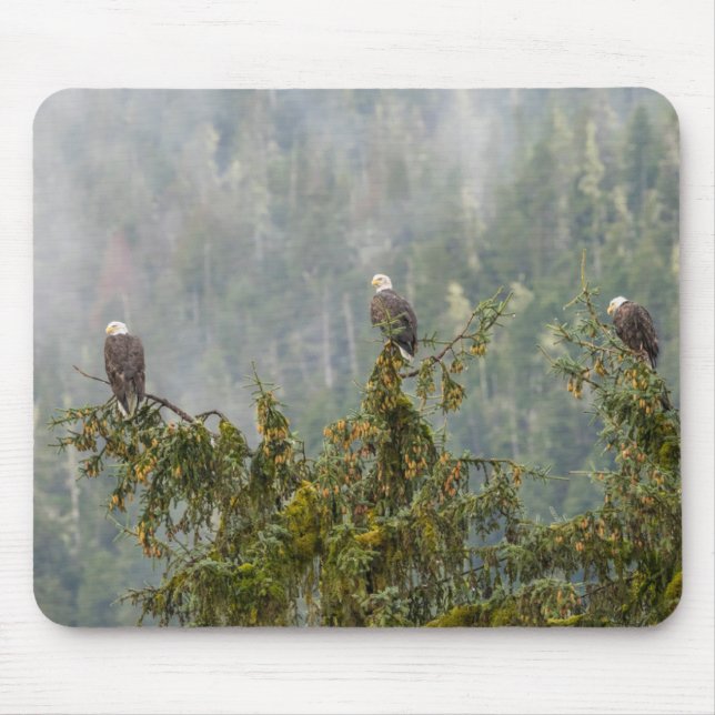 Bald Eagles | Tongass National Forest Alaska Mouse Pad (Front)