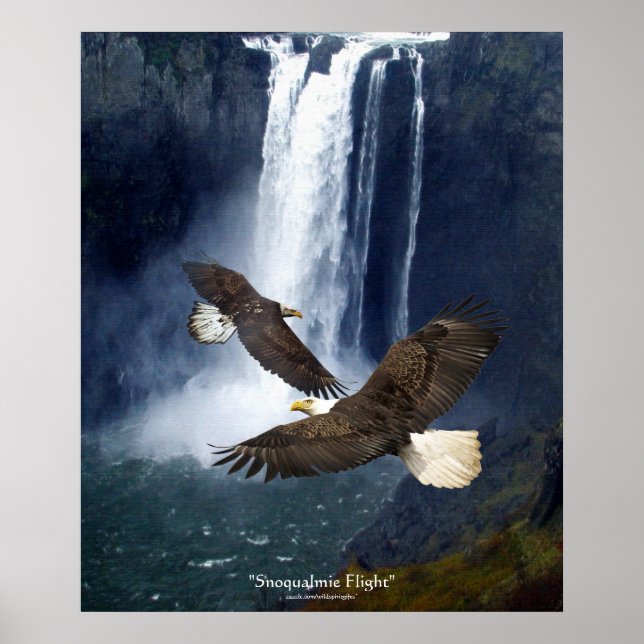 Bald Eagles & Waterfall Wildlife Art Poster (Front)