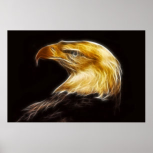 Bald Eagles with power poster