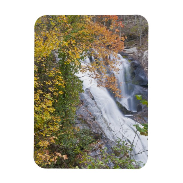 Bald River Falls Magnet (Vertical)