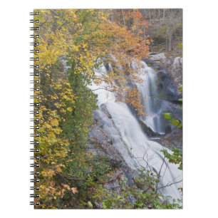 Bald River Falls Notebook