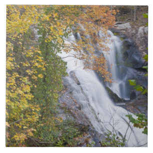 Bald River Falls Tile