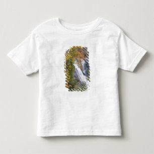 Bald River Falls Toddler T-Shirt