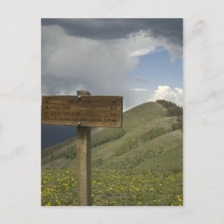 baldy peak trail postcard