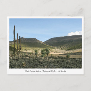 Bale Mountains Ethiopia Postcard