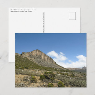 Bale Mountains Ethiopia Postcard