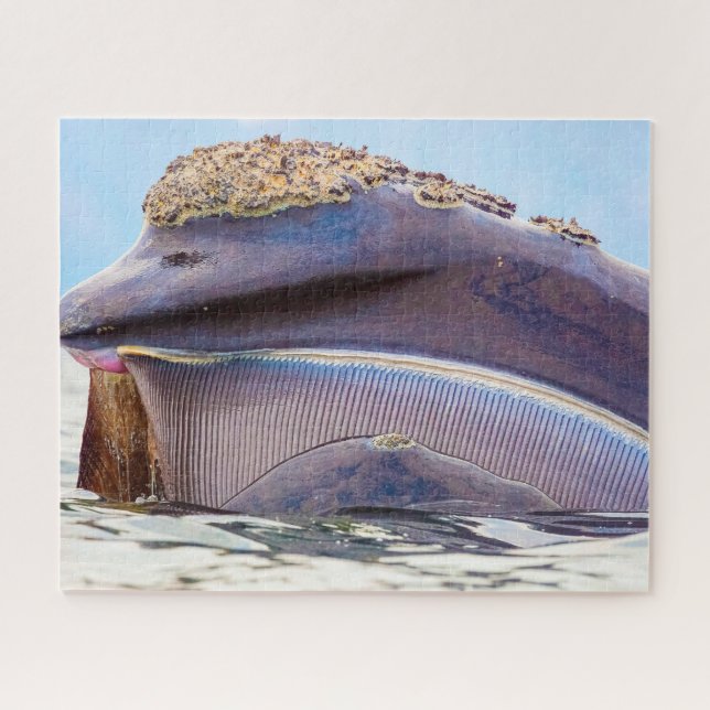 Baleen Whale Jigsaw Puzzle (Horizontal)