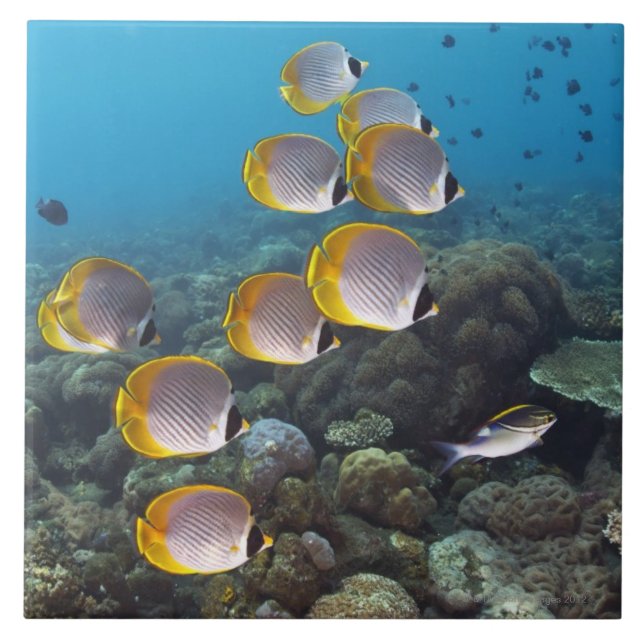 Bali, Indonesia Tile (Front)