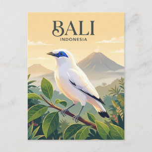 Bali Myna, Bali Indonesia Postcard