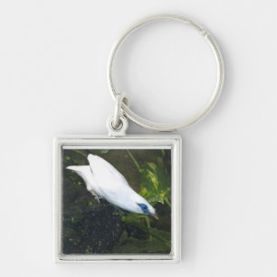 Bali Myna Key Ring