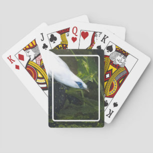 Bali Myna Playing Cards