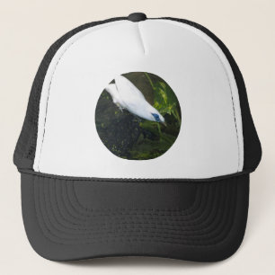 Bali Myna Trucker Hat
