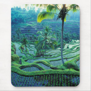 Bali Overview Of Rice Terraces Mouse Pad