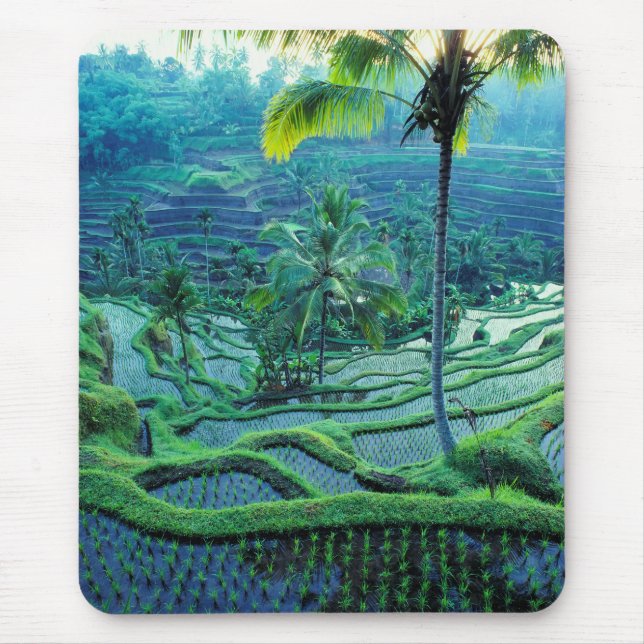 Bali | Overview Of Rice Terraces Mouse Pad (Front)