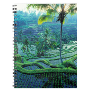 Bali Overview Of Rice Terraces Notebook