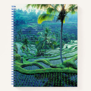 Bali   Overview Of Rice Terraces Notebook