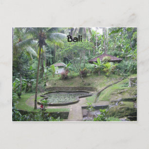Bali Postcard