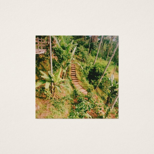 Bali rainforest Stairway  (Front)