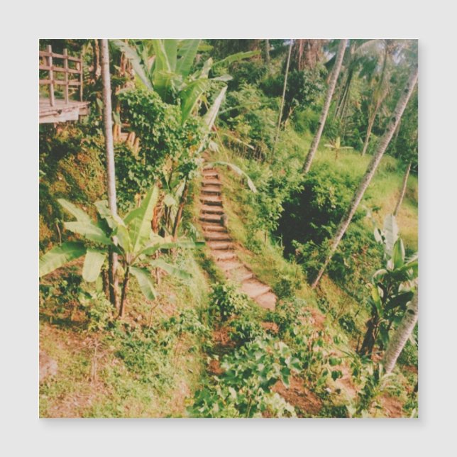 Bali rainforest Stairway  (Front)