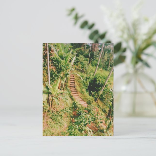 Bali rainforest Stairway  Holiday Postcard (Standing Front)