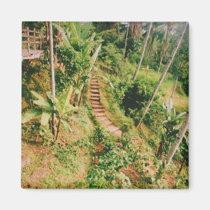 Bali rainforest Stairway Magnet