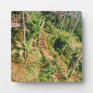 Bali rainforest Stairway  Plaque