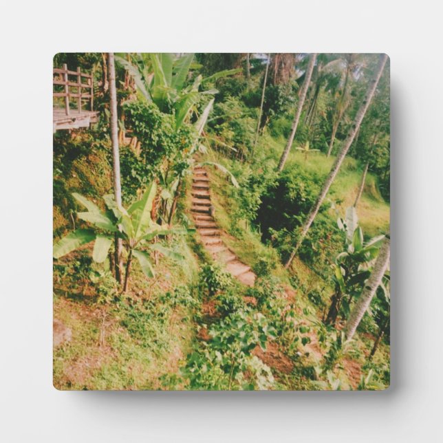 Bali rainforest Stairway  Plaque (Front)