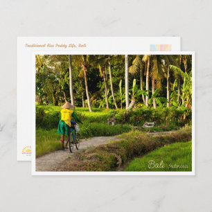 Bali Rice Field Sunset Postcard