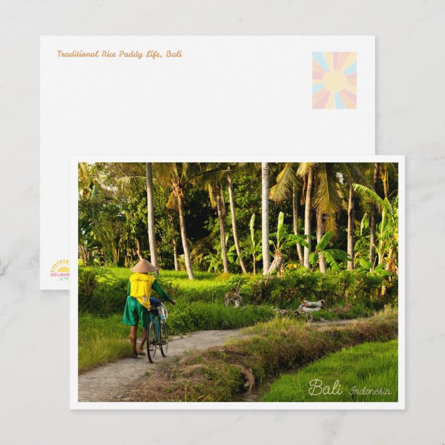 Bali Rice Field Sunset Postcard (Front/Back)
