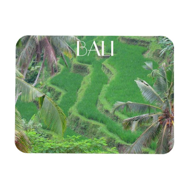 bali rice terraces magnet (Horizontal)