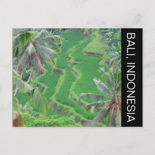 bali rice terraces postcard