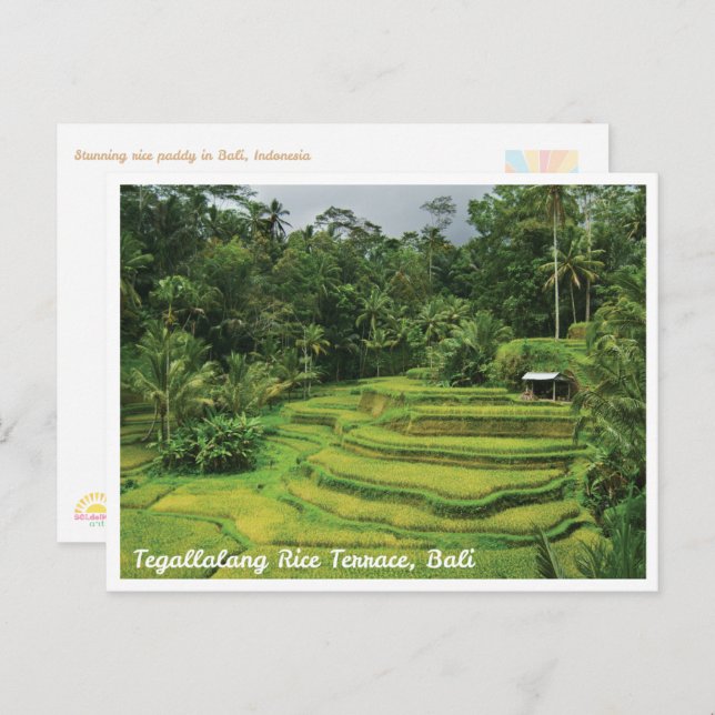 Bali Rice Terraces Scenic Travel Postcard (Front/Back)