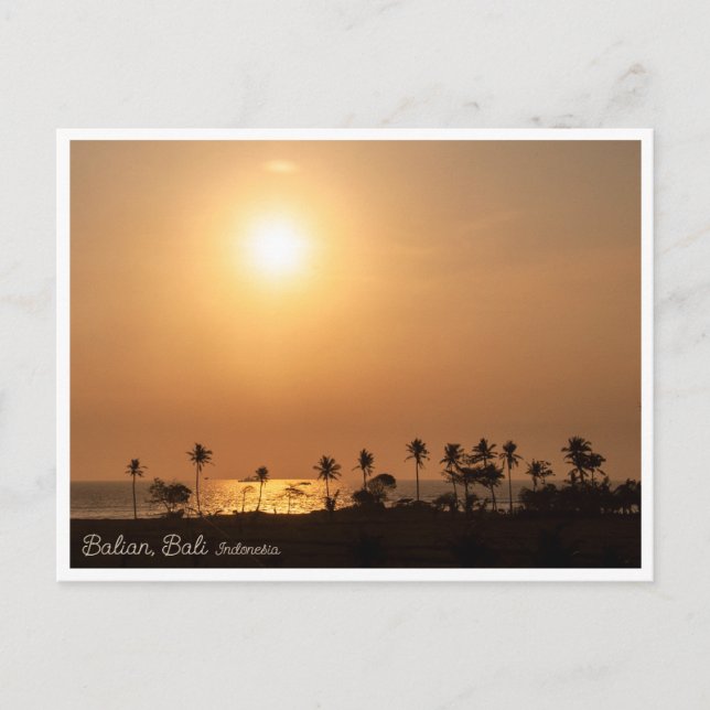 Balian Palm Beach in Bali - Travel Postcard (Front)
