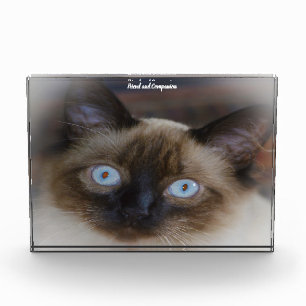 Balinese Cat Photo Block