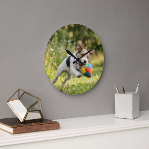 ball dog large clock