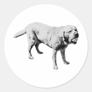 Ball Hog Classic Round Sticker