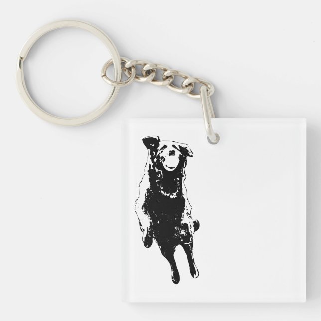 Ball-hold joy key ring (Front)