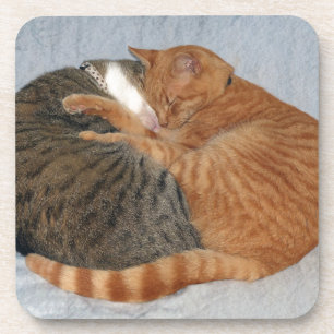 Ball of Cuteness Coaster